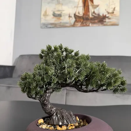 Moderne City-studio Naehe Koeln & Duesseldorf Appartement *